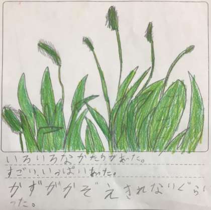 画像３